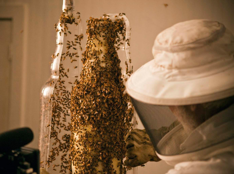 Illustration for article titled Concrete-Printing Bees And Other Living 3D Printers